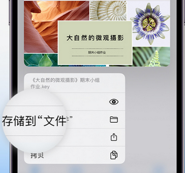 龙江apple维修中心分享iPhone文件应用中存储和找到下载文件