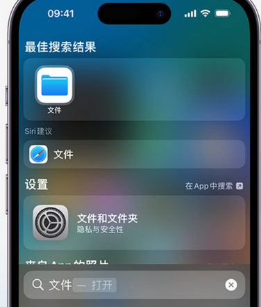 龙江apple维修中心分享iPhone文件应用中存储和找到下载文件