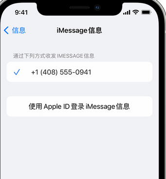 龙江apple维修iPhone上无法正常发送iMessage信息 