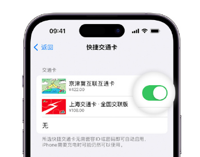 龙江apple维修点分享iPhone上更换Apple Pay快捷交通卡手绘卡面 