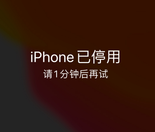 龙江苹果手机维修分享:iPhone 显示“不可用”或“已停用”怎么办？还能保留数据吗？ 