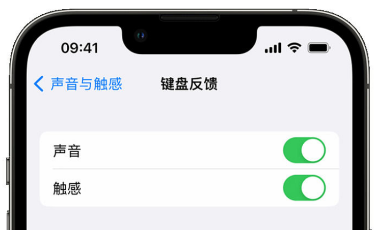 龙江苹果手机维修分享iPhone 14触感键盘使用方法 