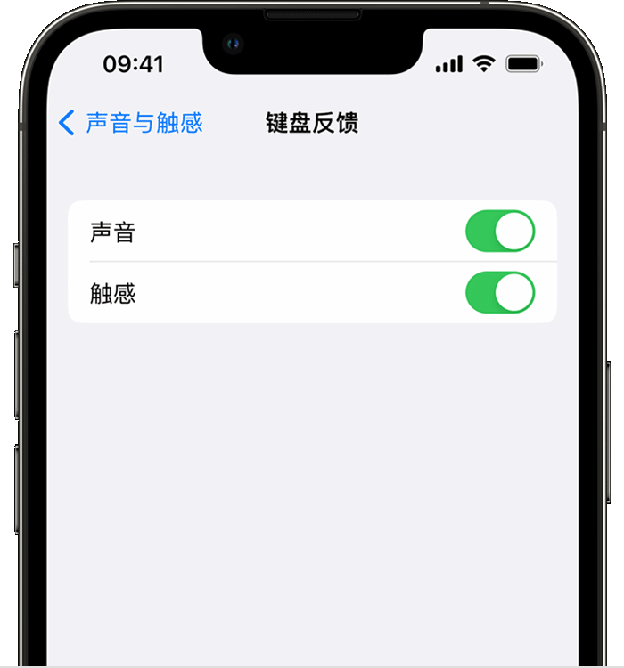 龙江苹果14维修店分享如何在 iPhone 14 机型中使用触感键盘 