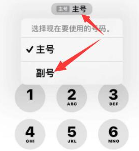 龙江苹果14维修店分享iPhone 14 Pro Max使用副卡打电话的方法 