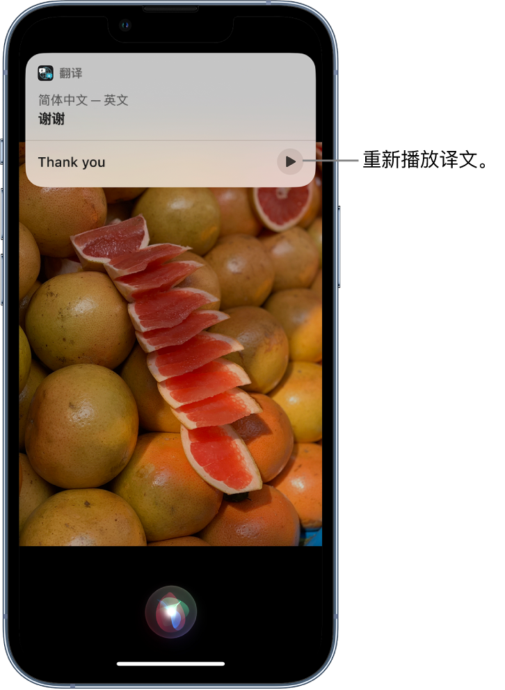 龙江苹果14维修分享 iPhone 14 机型中使用 Siri：了解 Siri 能帮你做什么 