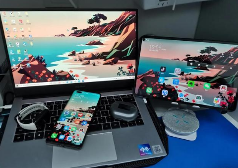 龙江苹果手机维修分享为什么iPad屏幕更大价格却比iPhone低 